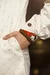 T-0226007-6_webp_o