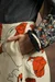 T-0226011-7_webp_o
