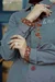 T-0725008-6_webp_o